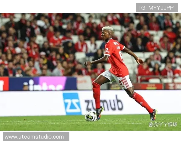 本菲卡逆袭马竞4-0大胜决赛历史冷门瞬间引发全场沸腾